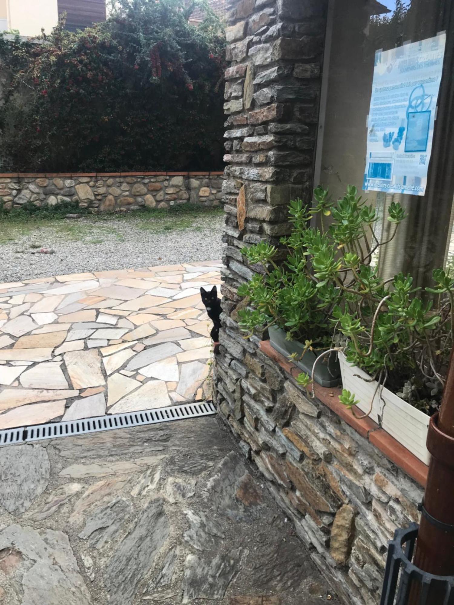 Hébergements à La Rive, Accueil ouvert tous les jours jusqu'à 20h00 dernier délai, depuis 29 ans ! Réserver ici svp ! Merci ! Aucun règlement à distance accepté, Paiement par CB, Espèces, Chèque ou Chèques-Vacances impérativement à la remise des clef Amélie-les-Bains-Palalda Esterno foto