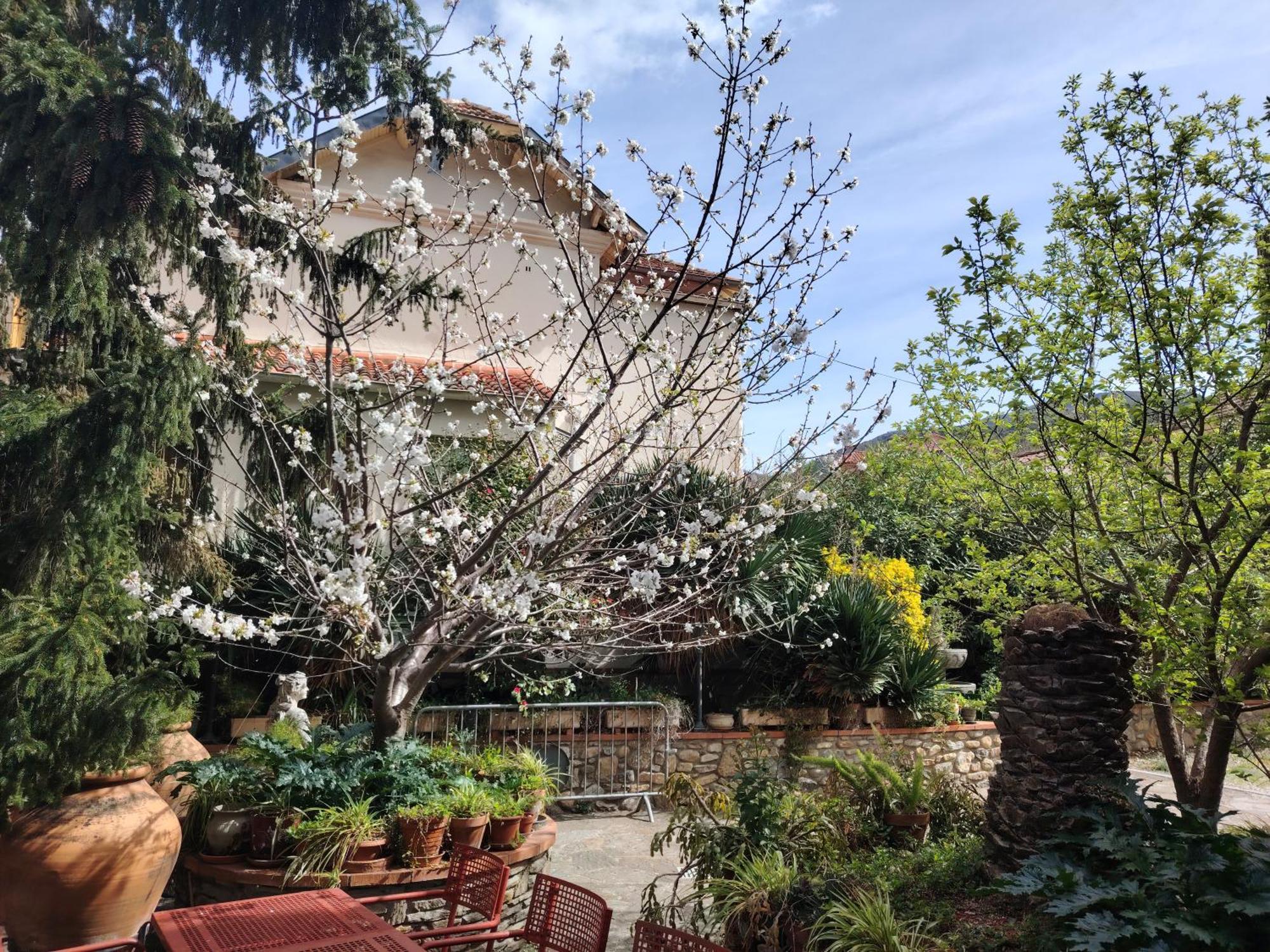 Hébergements à La Rive, Accueil ouvert tous les jours jusqu'à 20h00 dernier délai, depuis 29 ans ! Réserver ici svp ! Merci ! Aucun règlement à distance accepté, Paiement par CB, Espèces, Chèque ou Chèques-Vacances impérativement à la remise des clef Amélie-les-Bains-Palalda Esterno foto